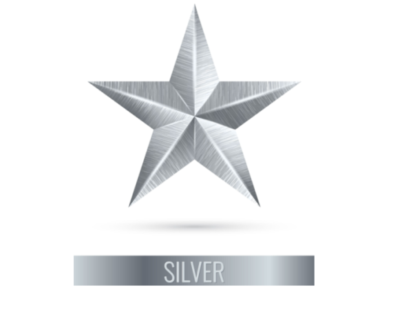 Silver Award4